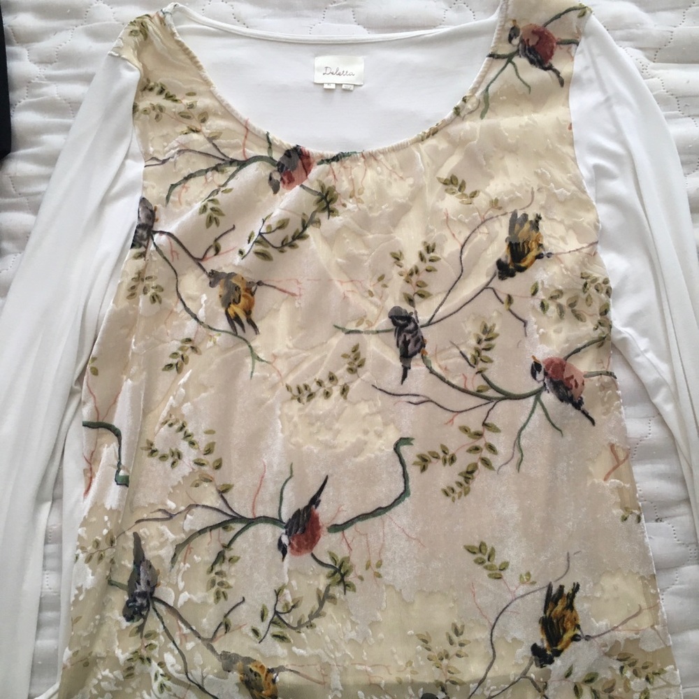 Anthropology velvet top